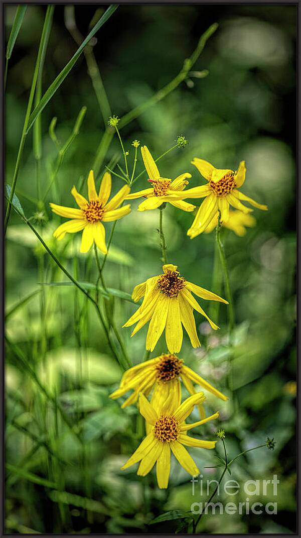 Dressed in Imperfect Yellow