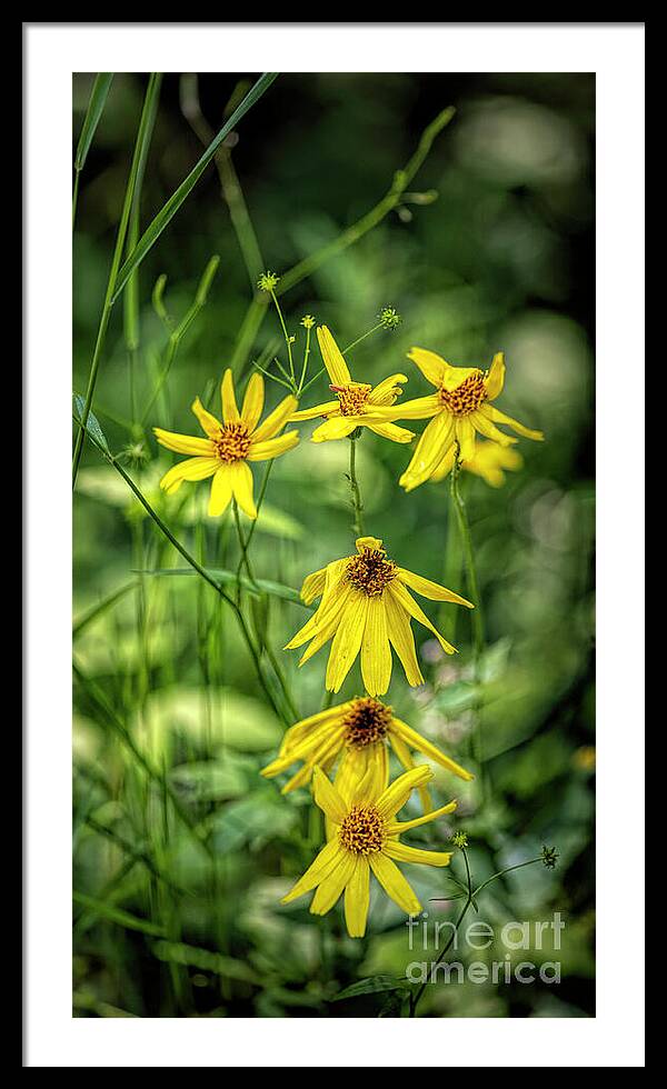 Dressed in Imperfect Yellow