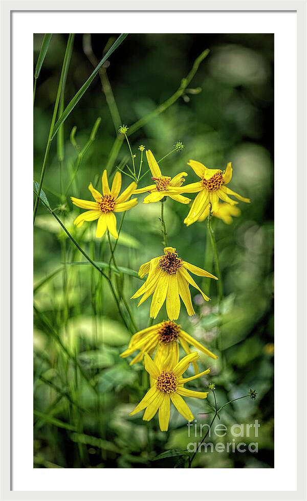 Dressed in Imperfect Yellow