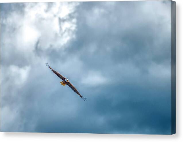 Soar On Eagle Wings
