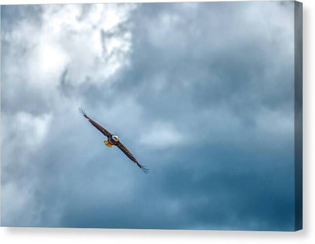 Soar On Eagle Wings