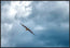 Soar On Eagle Wings