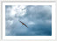 Soar On Eagle Wings