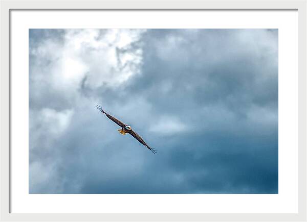 Soar On Eagle Wings