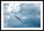 Soar On Eagle Wings