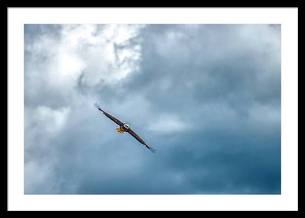 Soar On Eagle Wings