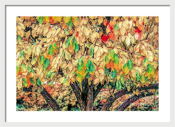 Essence of Fall
