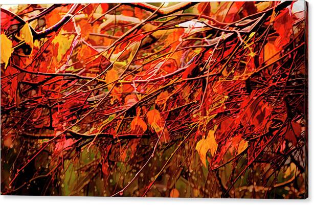 Fall Drops