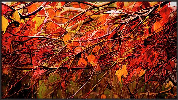 Fall Drops