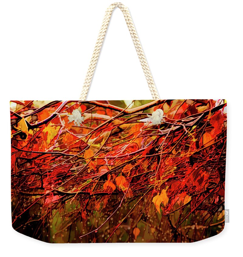 Fall Drops - Artistic Weekend Tote