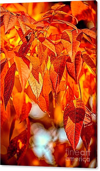 Fire Fall