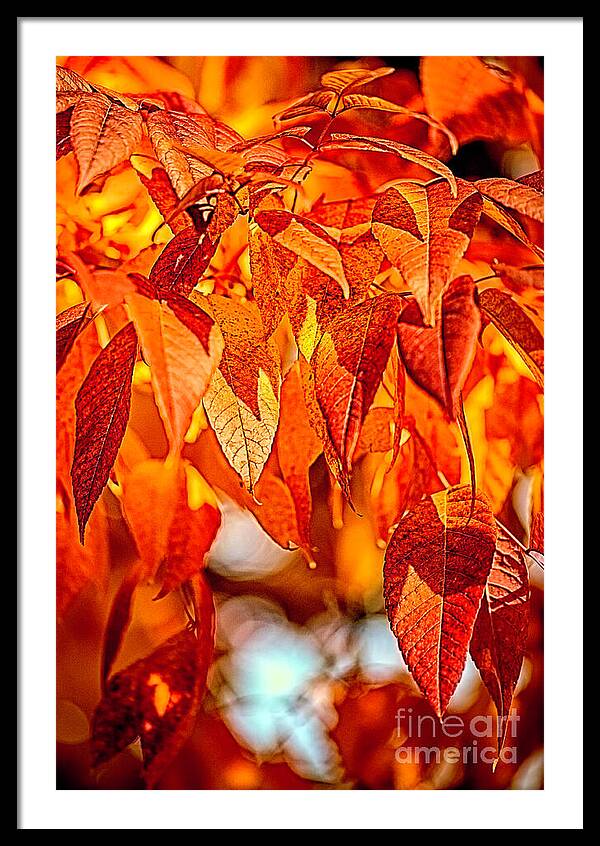Fire Fall