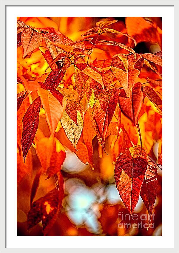 Fire Fall