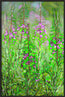 Fireweed Fire