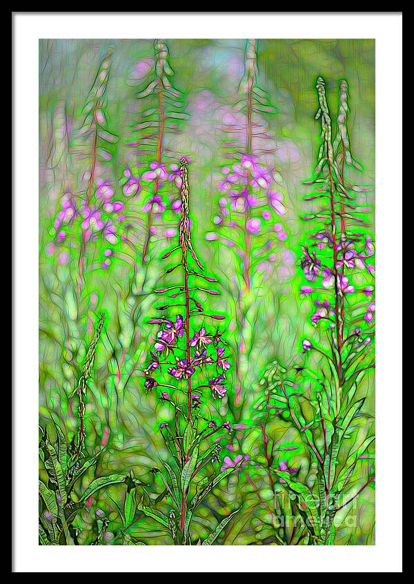Fireweed Fire
