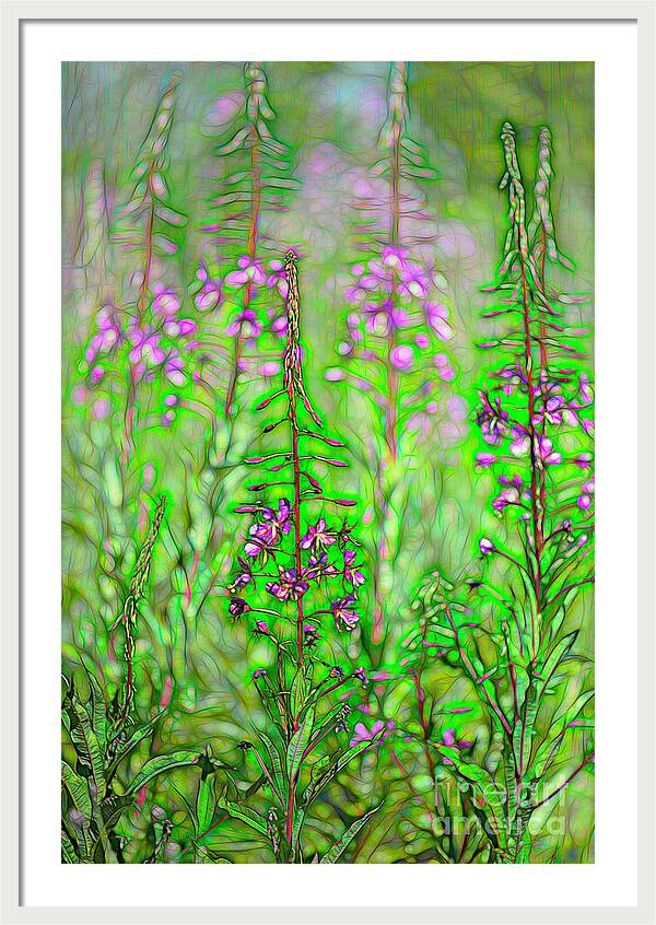 Fireweed Fire