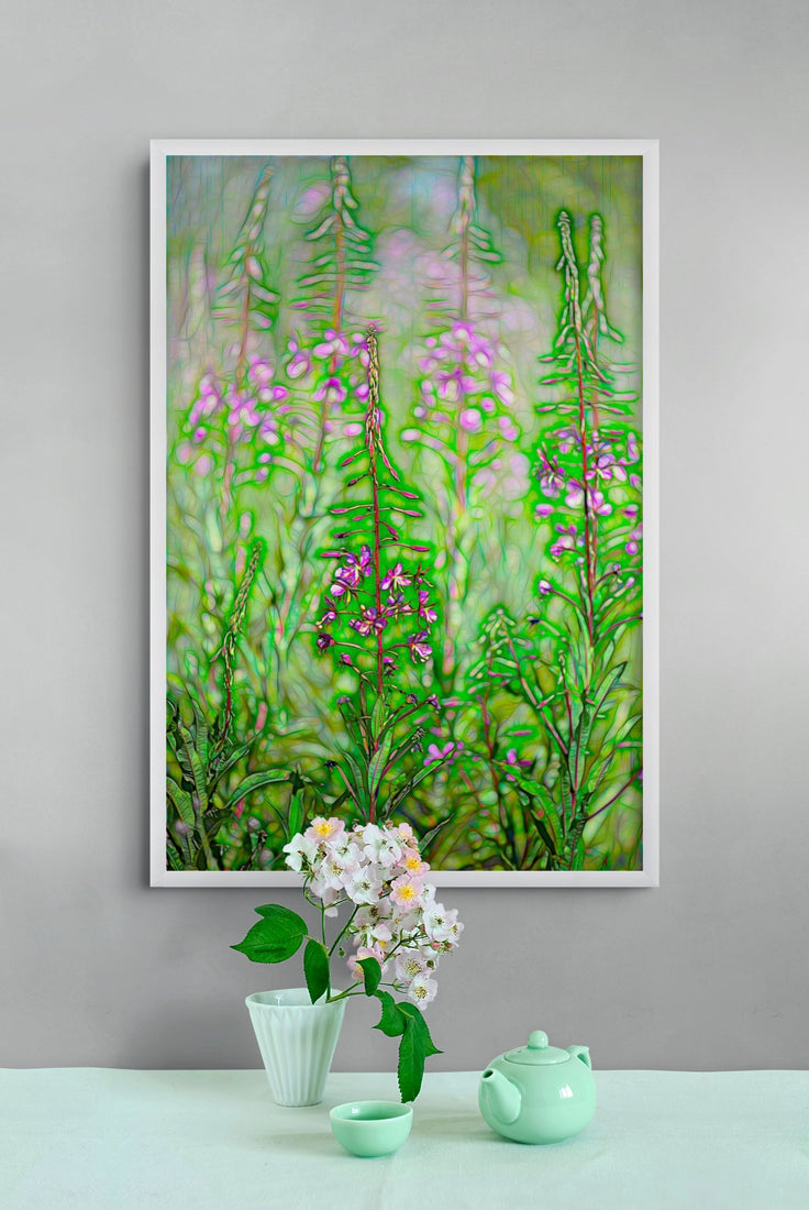 Fireweed Fire