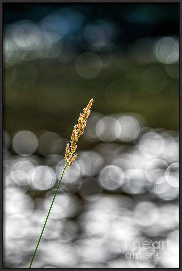 Bending Toward Peace
