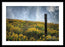 Moody Yellows