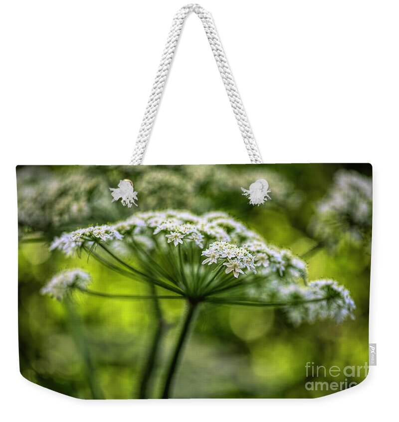 Artistes Weekender Tote Bags