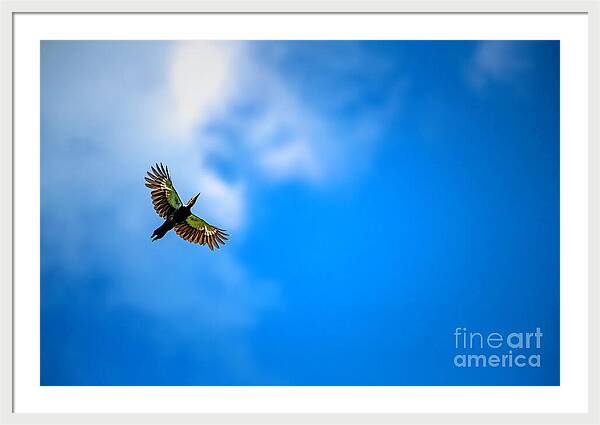 Lift Up Your Eyes