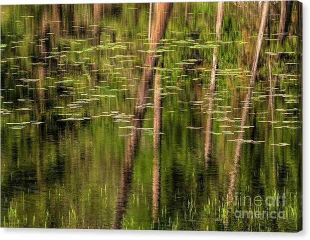 Tranquil Monet