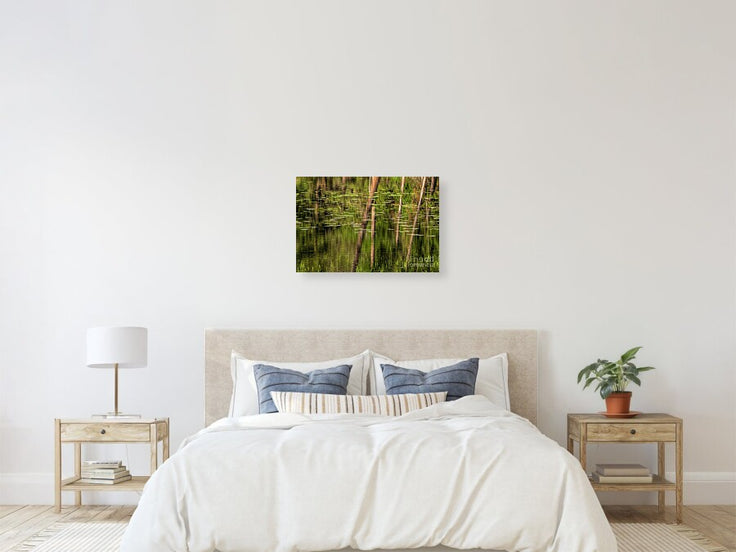 Tranquil Monet