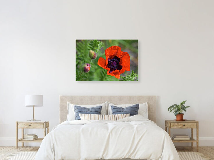 Resilience in Bloom