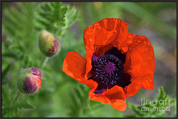 Resilience in Bloom