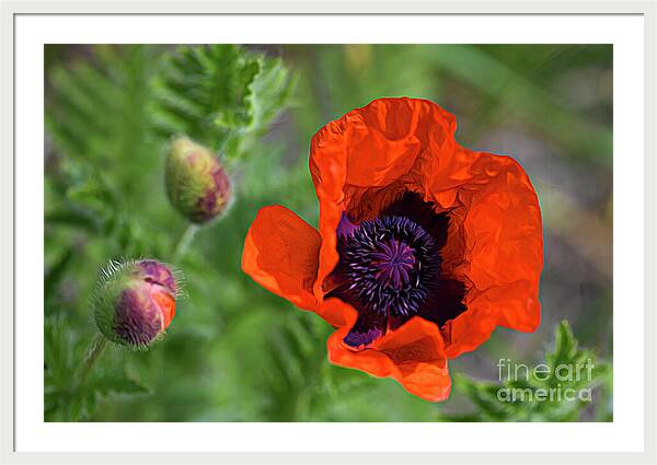 Resilience in Bloom