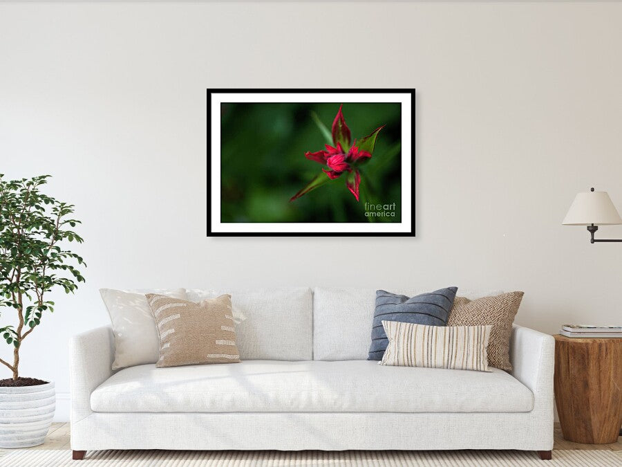Red Star Touch
