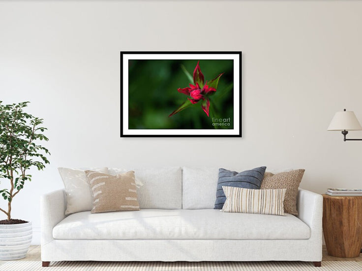 Red Star Touch