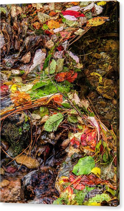 Remnants Of Fall