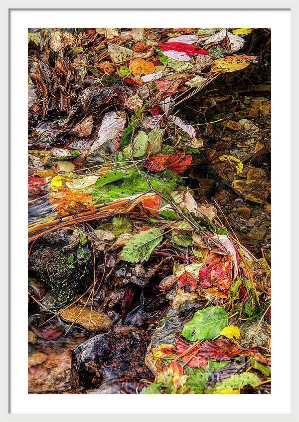 Remnants Of Fall