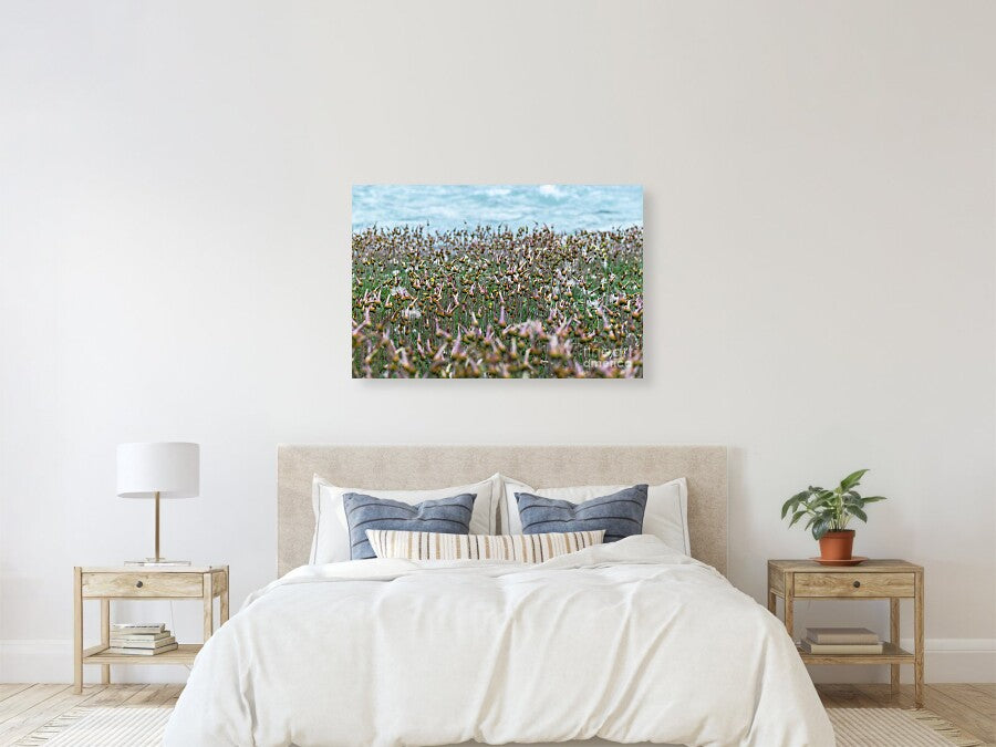 Riverside Meadow