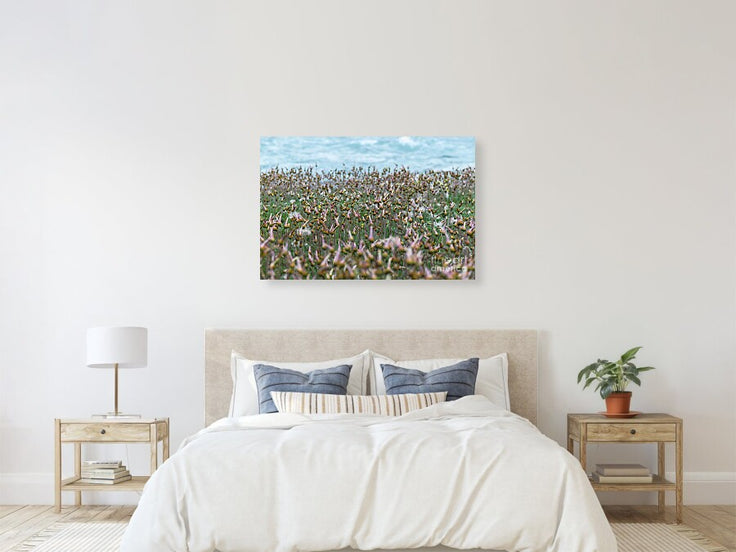 Riverside Meadow