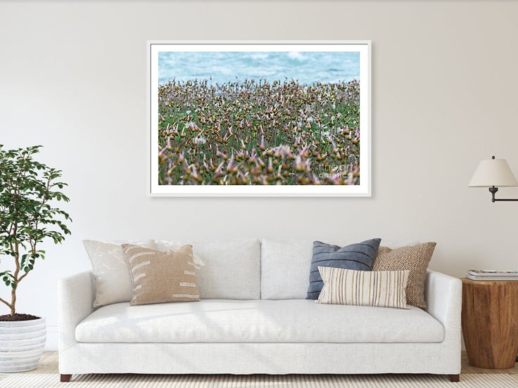 Riverside Meadow