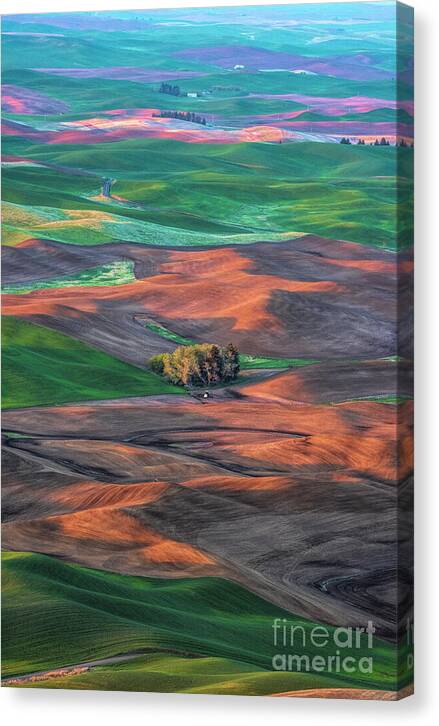 Little House in Farmland