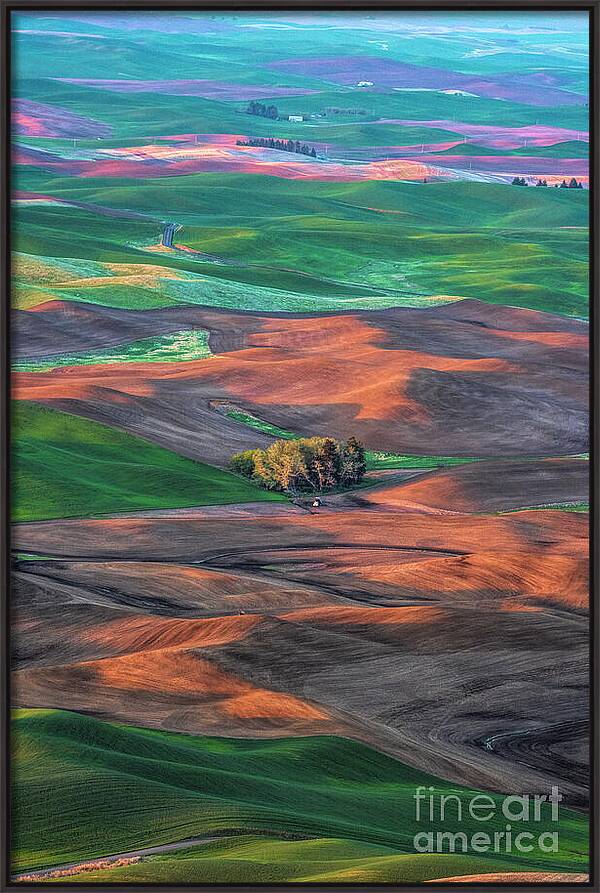 Little House in Farmland