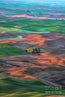 Little House in Farmland