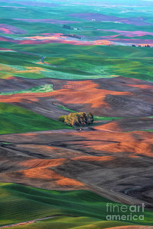 Little House in Farmland