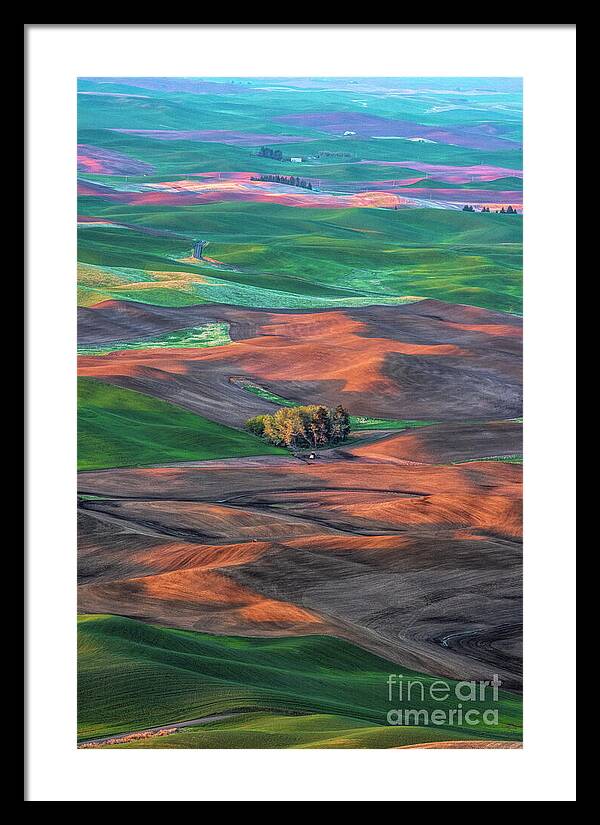 Little House in Farmland