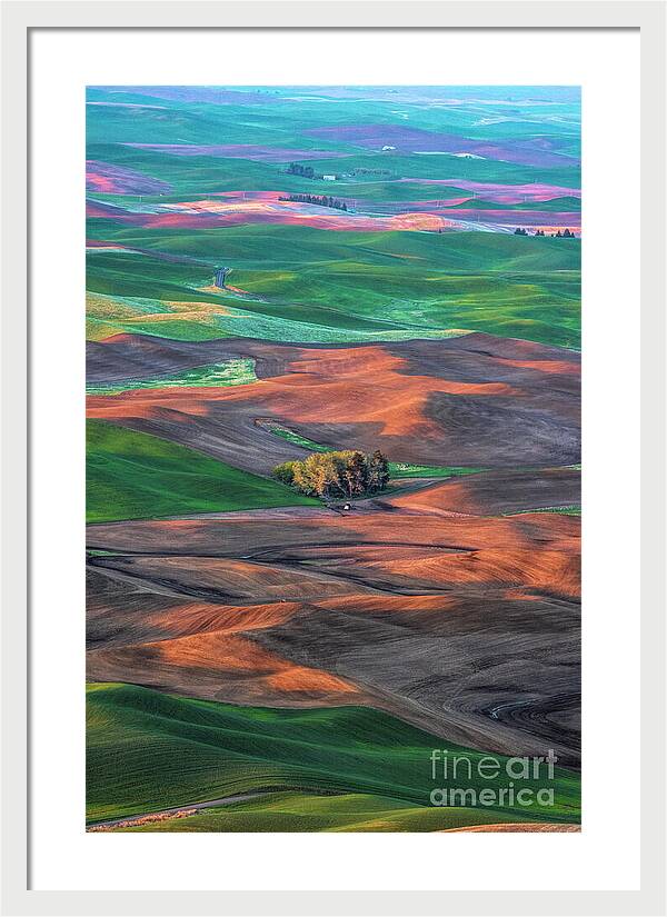 Little House in Farmland