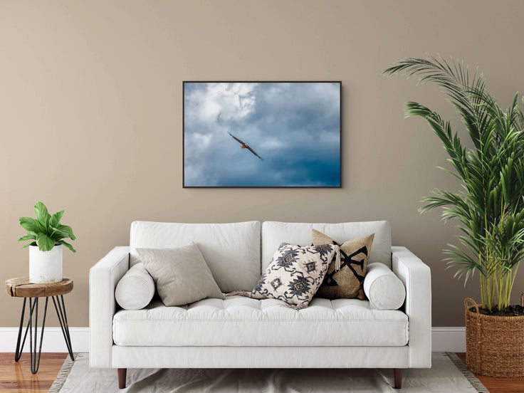 Soar On Eagle Wings - AWR