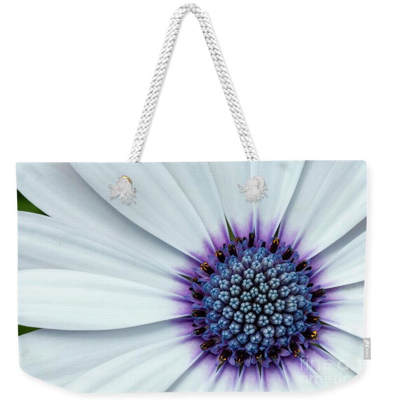 Summer Snow Weekender Tote