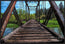 Bridging the Past