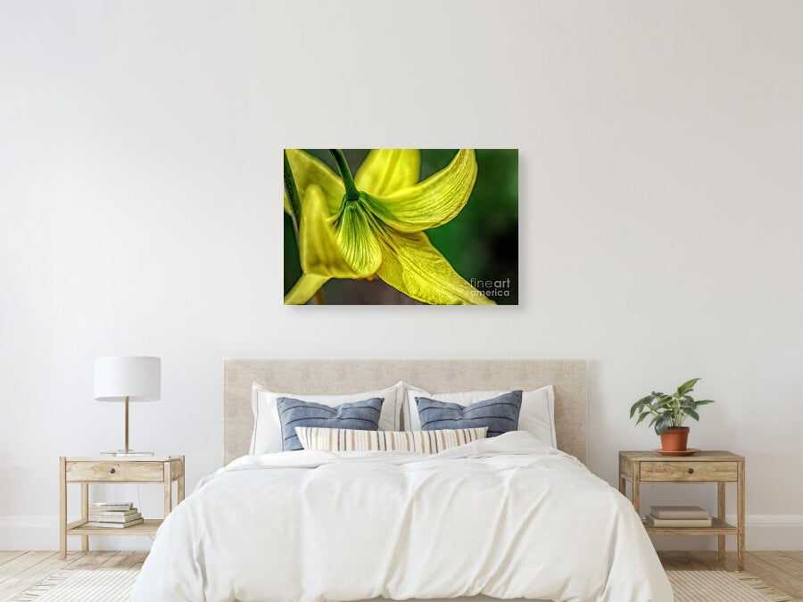 A Top of Yellow