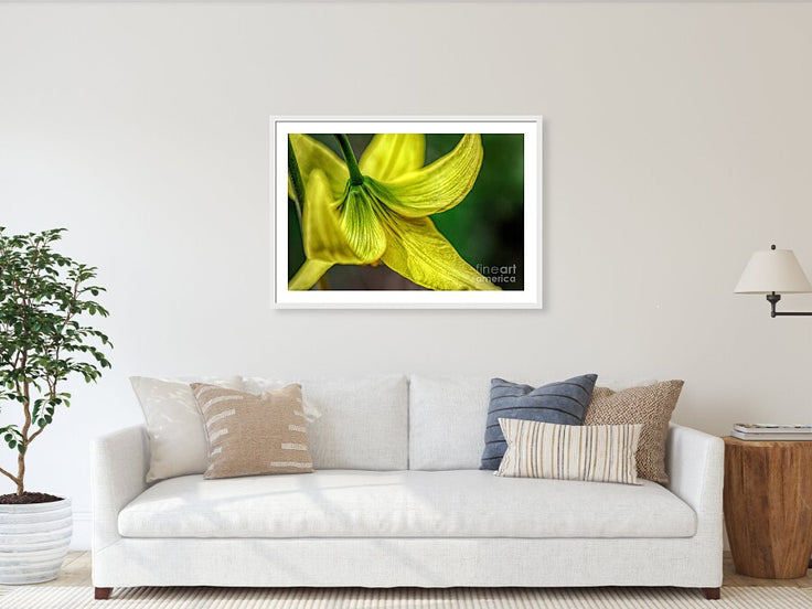 A Top of Yellow