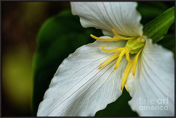Resilient Grace