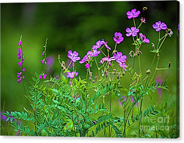 Wildflower Melody